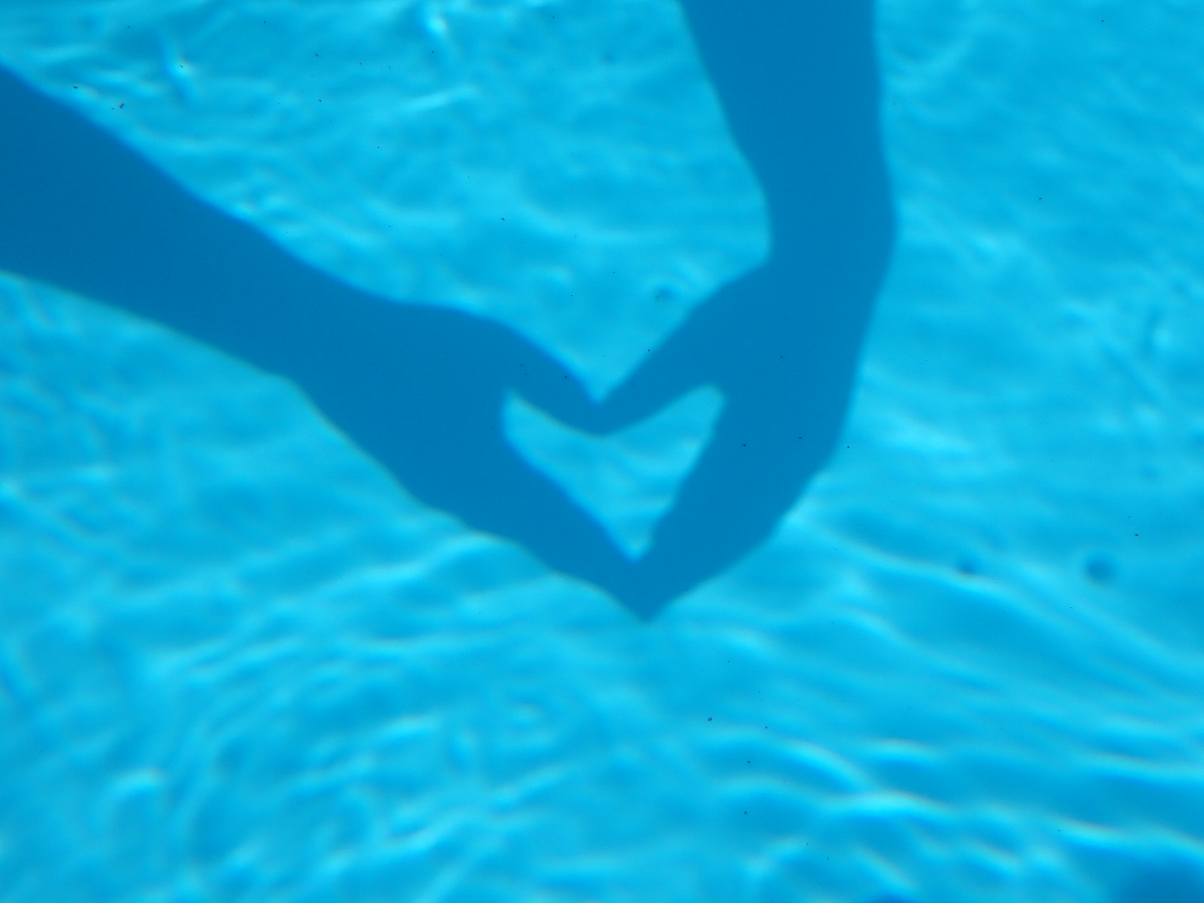 srdce s bazénu
